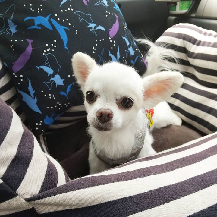 1de172aa 8361 422c 9837 a6906e4772e3 1591429748527