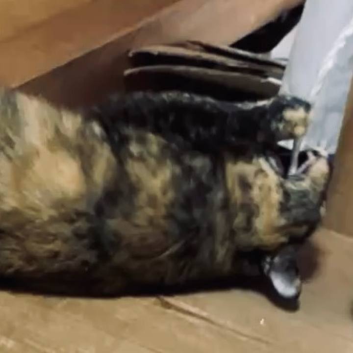 1de1922c eaa8 4c38 ac2d 5497e18929a7 1733888165475