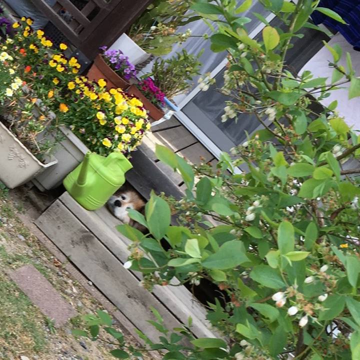 1de1d8b9 45ec 499a bd43 d5b66538a0e2 1594076184506