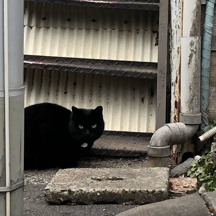 1de1fce8 7b41 4439 a162 e004ecf4f89a 1580974522819