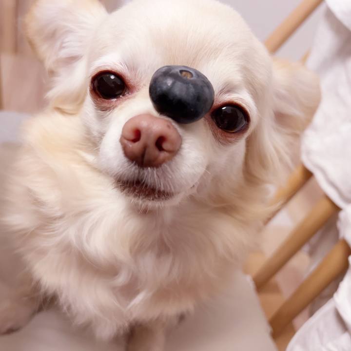 1de2065c ecd4 4c34 a4ab d97846d5ca50 1752238348941