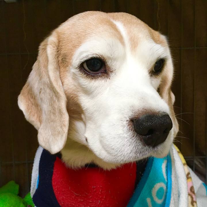 1de219f2 5a46 4b25 8534 3f24ed75cd91 1578454690551