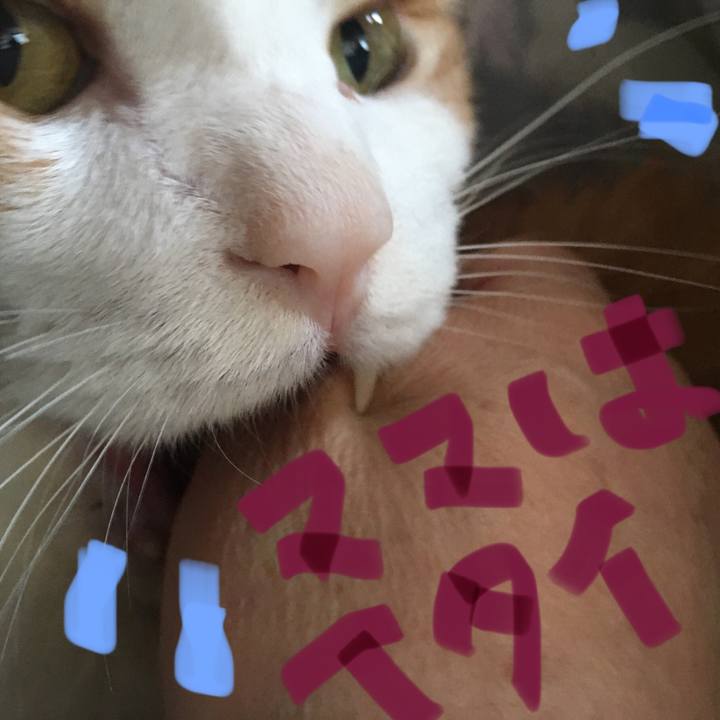 1de24a48 abe4 4287 a47d 0817e6cd0ec3 1576666710557