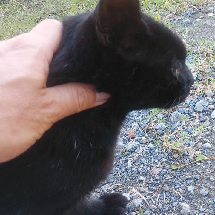 1de24dc4 40e3 4cc1 a5c7 99f4131e413a 1570235809495