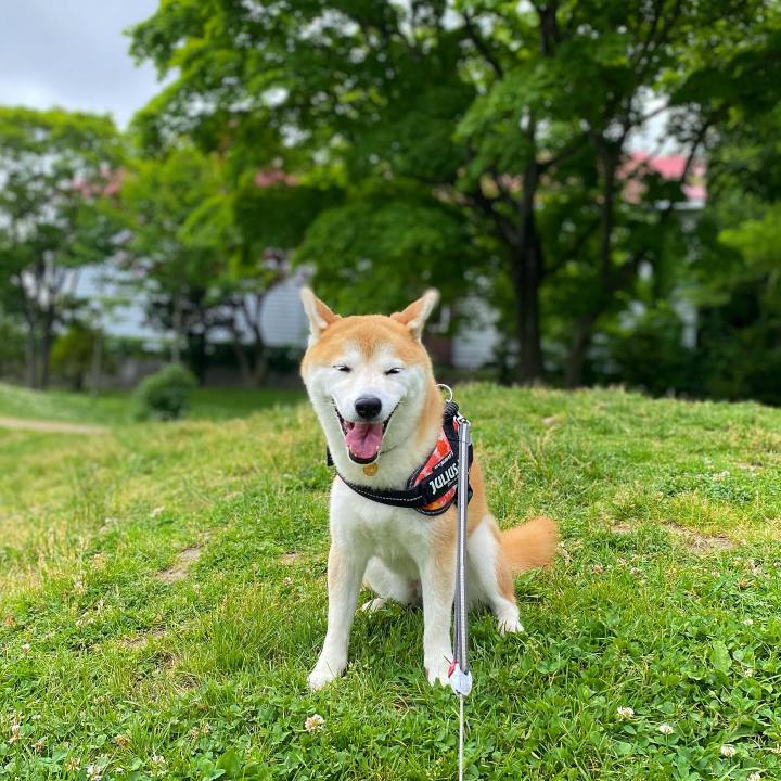 1de2565e 622c 430a a1fb 4ce399442a66 1624841080771