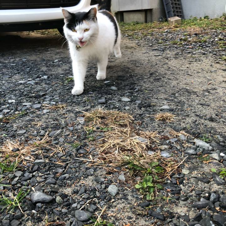 1de26f03 3d7e 4f60 ad0b 93f0ecdc738a 1607213034440