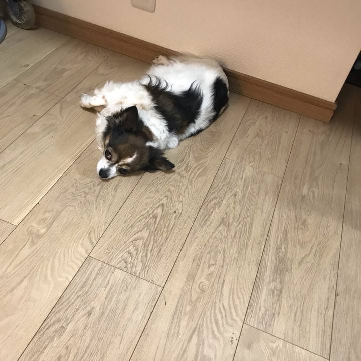 1de28a3a fbca 43bc a4eb 2b1daeaec56c 1680405300526