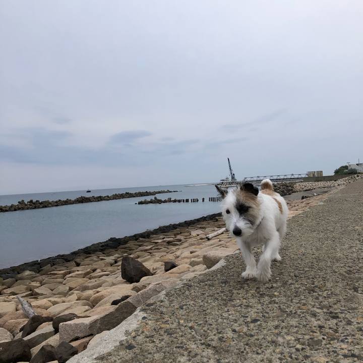 1de2b2ee afdf 43bb b810 9ed4ca117a06 1601766541150