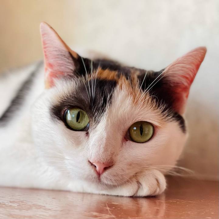 1de2b967 f3af 4851 b1e9 86d3c112b7b9 1630982813444