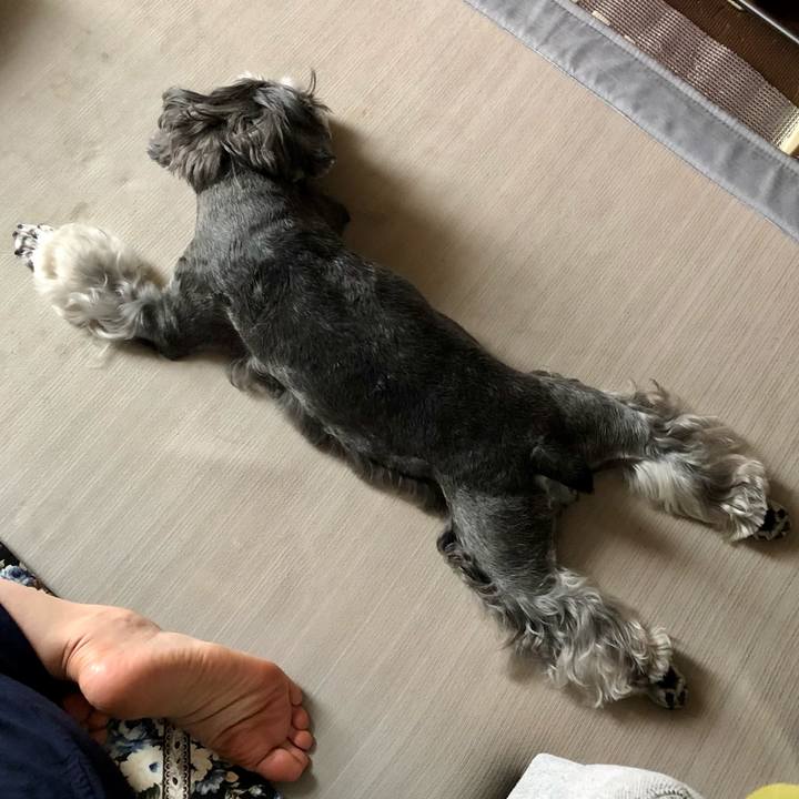 1de30202 8eae 440e 9833 34ba13928e70 1657421495938