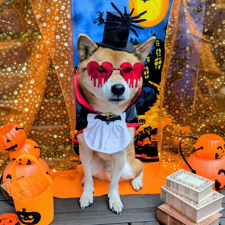 1de30a04 4f25 4ab7 941d 3a840a9bd9ab 1761879330304