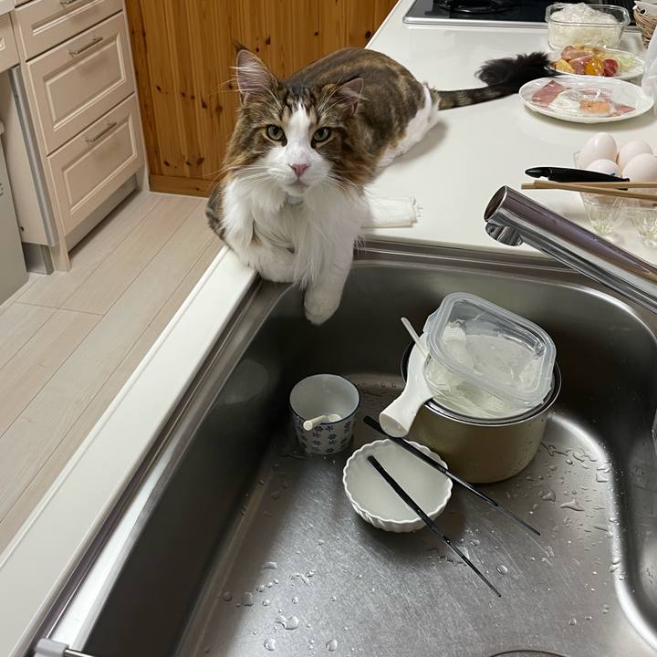 1de321ef 39a7 4b75 9766 b8857c2f847d 1660946120281