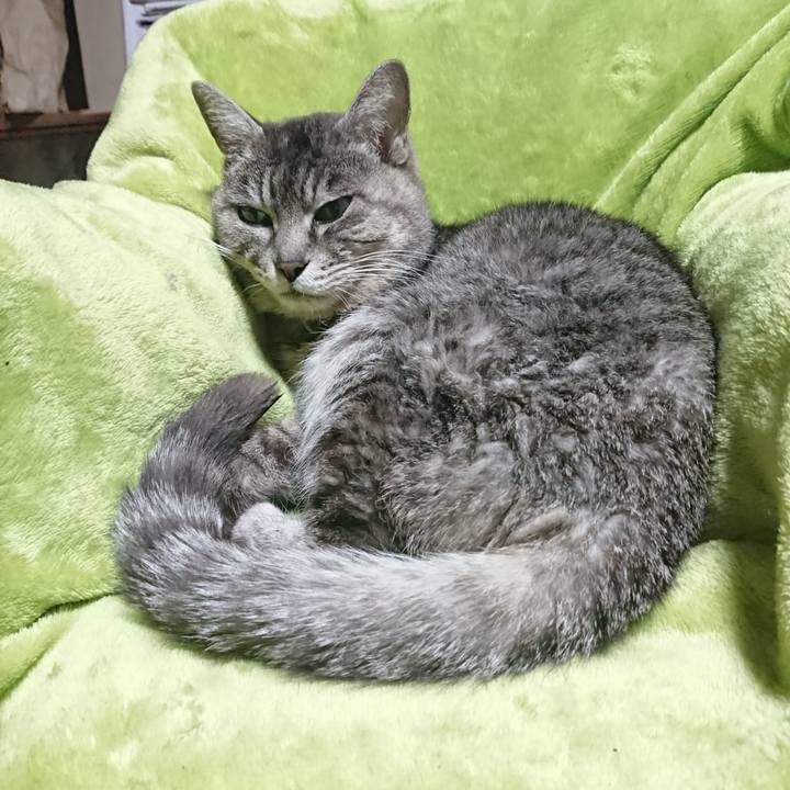 1de3ae40 2949 4202 8c3a 2107f6be896b 1582664942267