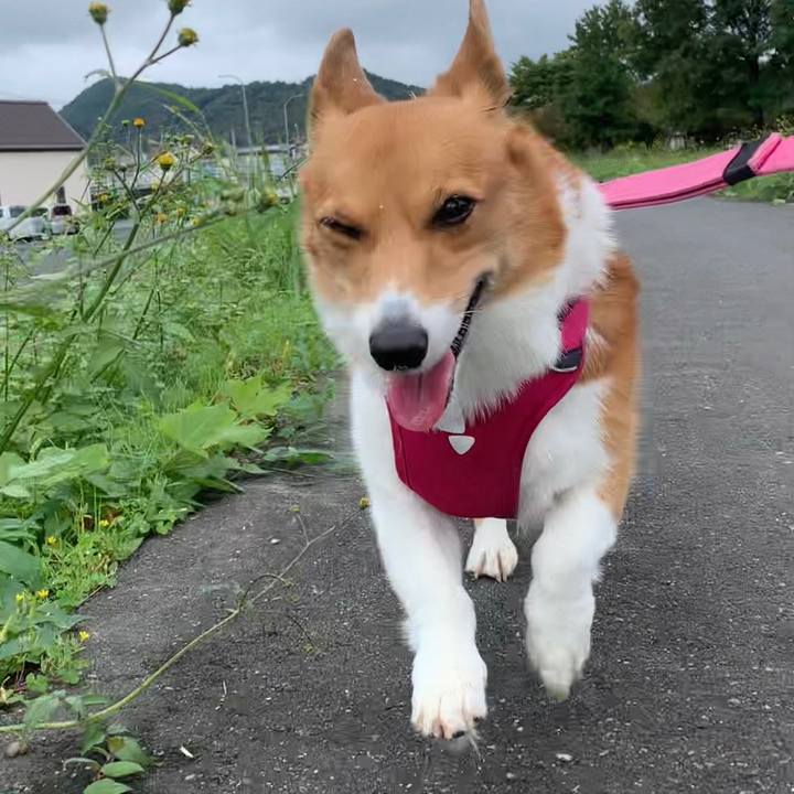 1de3b6d5 1e1b 469f 93bf cafc46ce18e4 1665719661906