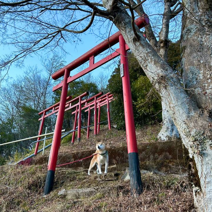 1de3b921 75d2 47dd b7b7 dc356e9e00bd 1706785617385