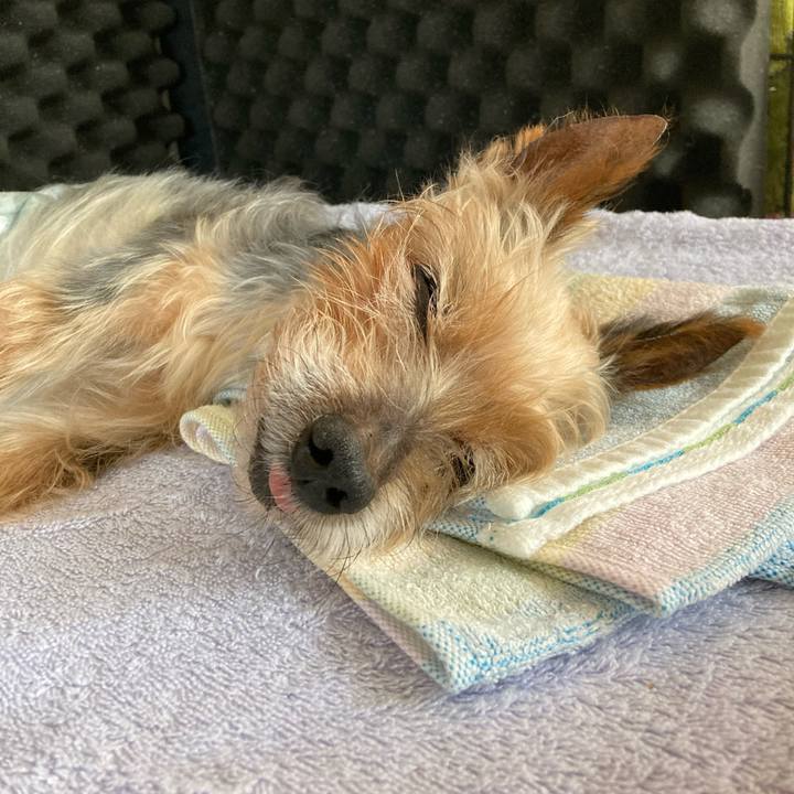 1de3c146 122a 4a65 90bd 581e18152801 1698800885248