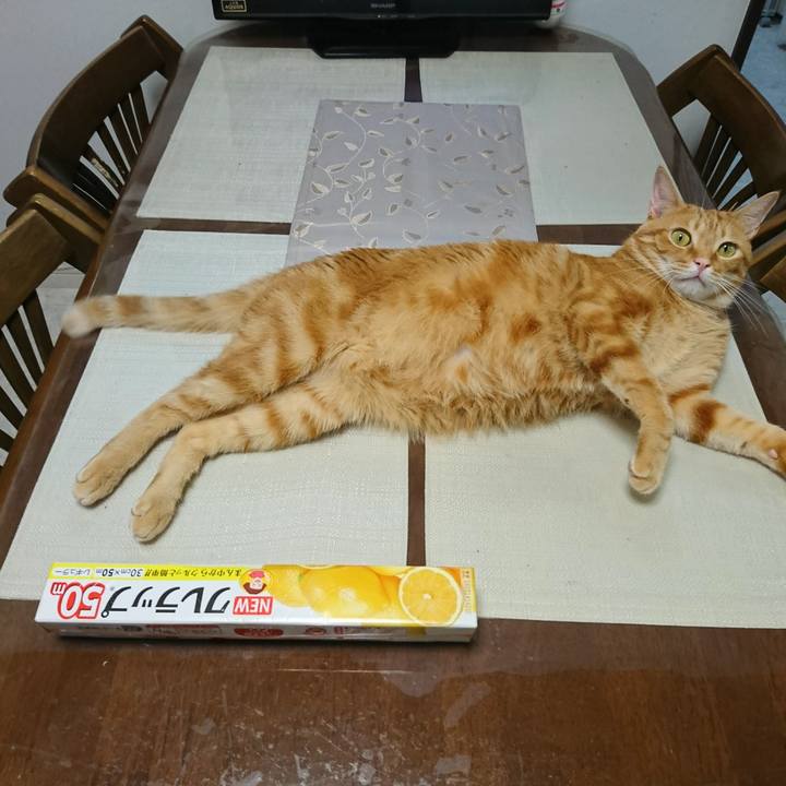 1de3cac1 bc76 4811 be0d e612d338b3b4 1531630344287