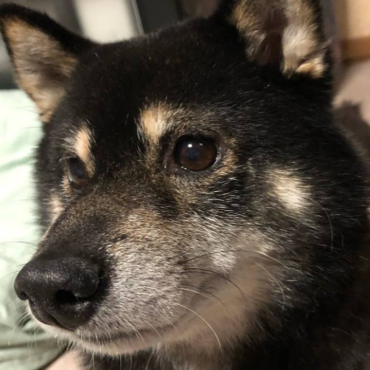 1de3f8cd 7e3c 414a 9465 57c353ebd31b 1596452333238