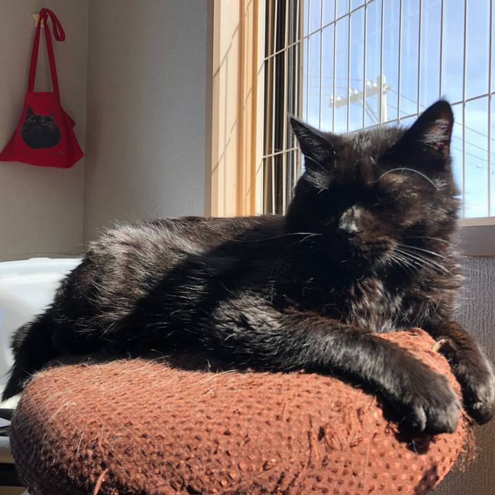 1de40b05 f35e 4056 9b92 8b77cdf58cb9 1600738311894