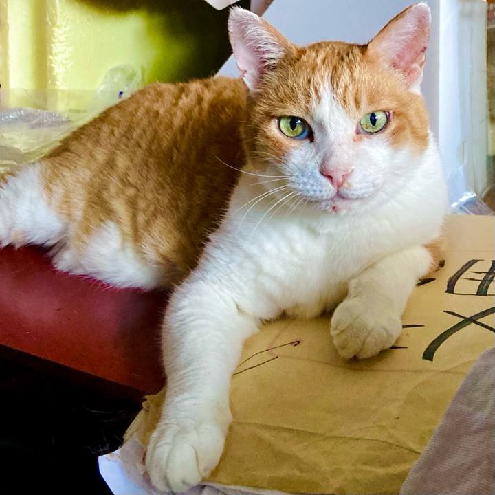 1de40c3e 1ad1 4d4b a639 68dbcf5a6583 1693891077373