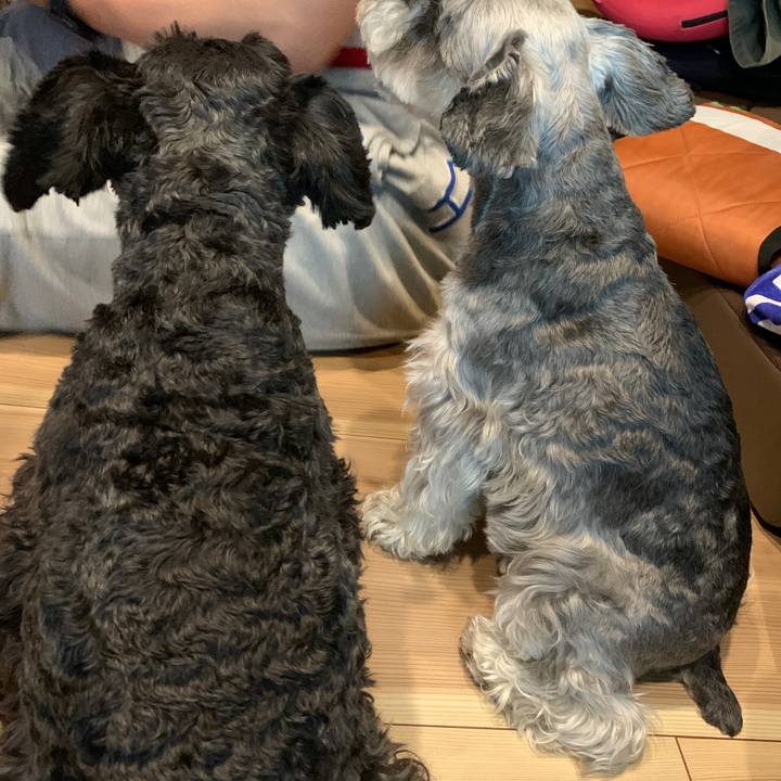 1de4168a 6d1d 4368 a13a 22b1d8598e64 1624145939321