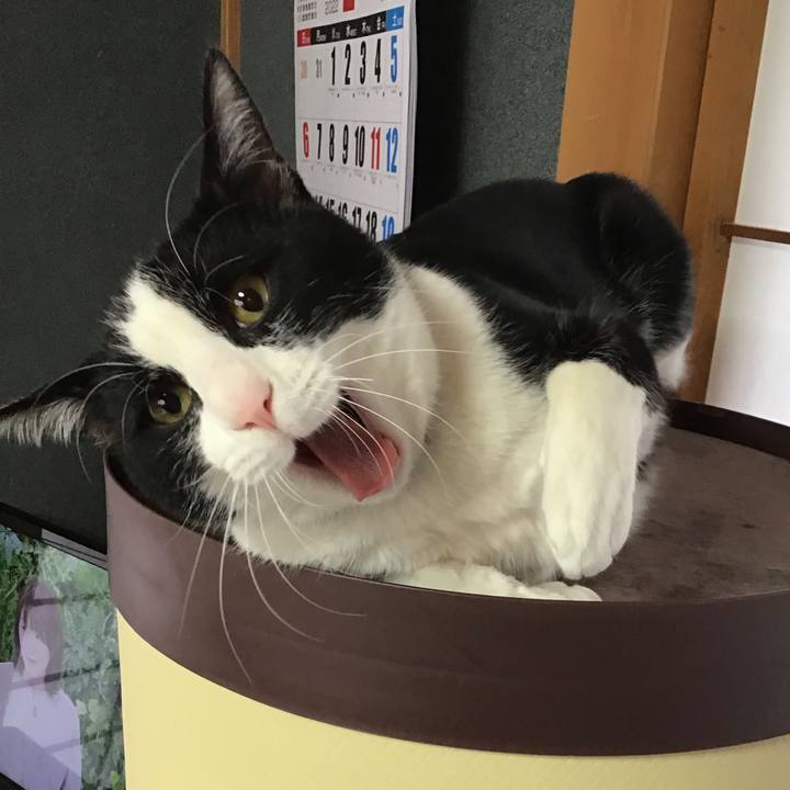 1de42c70 35ab 4f0b 8599 fe462e16ce5a 1644803165348