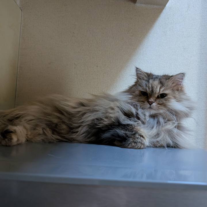 1de4578f d2d5 4151 b0eb f6cf0fabc1f4 1738021015305