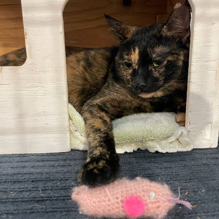 1de458db 03aa 4788 87fd 010d74bc6017 1728885090683