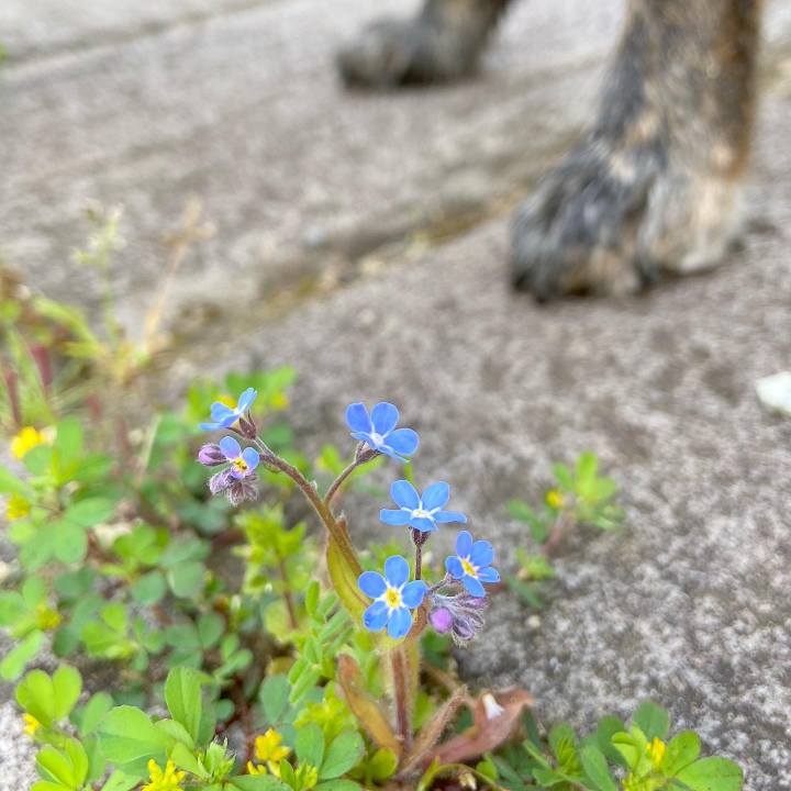 1de467b1 1a92 4b10 891b 89f654281fbe 1588463405607