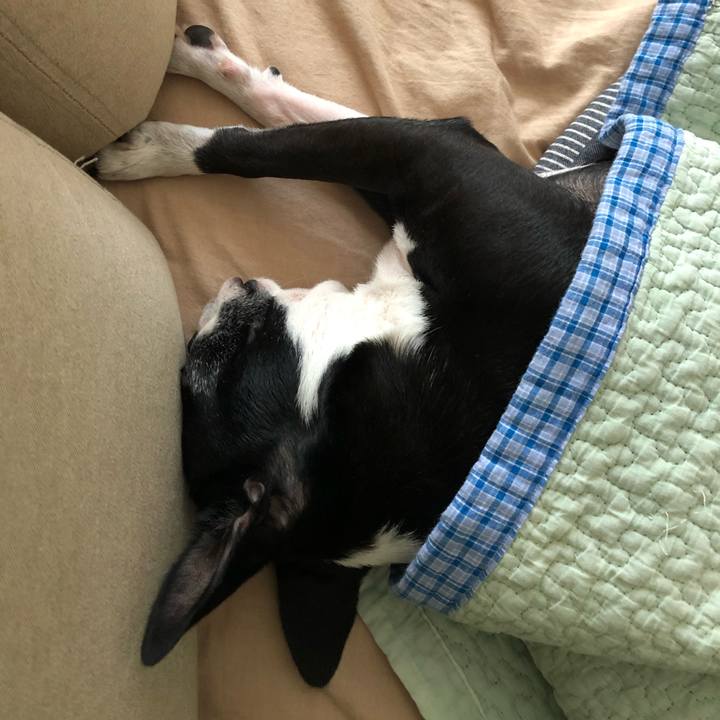 1de48025 793f 4249 9582 e18aafc7a37f 1668045061423