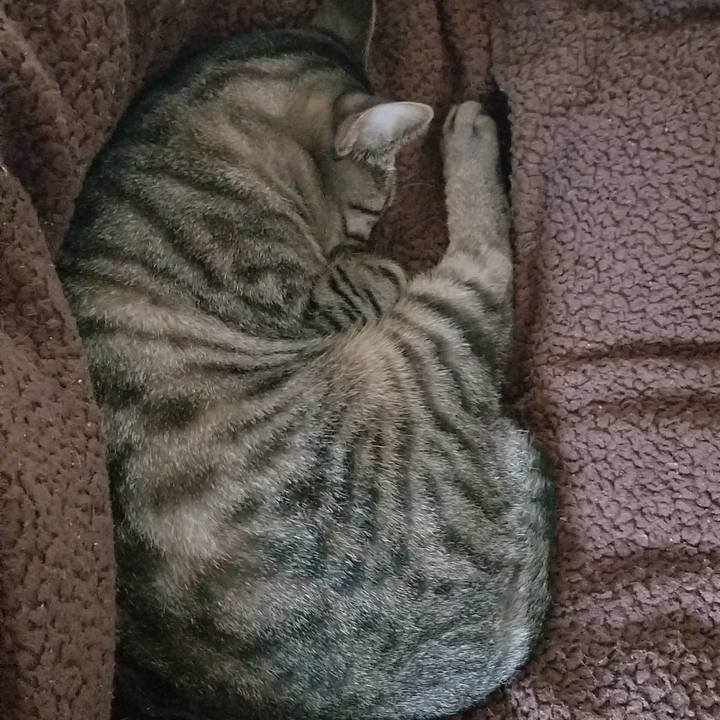 1de48223 c64a 4410 a1f0 71f9dc994d99 1692153412222