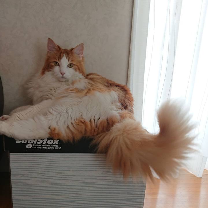 1de4a7b7 60b4 4a40 9d16 bdfbfc1ec094 1562123447417