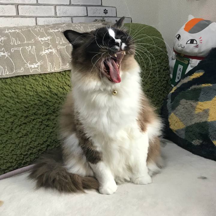 1de4d7a3 b319 40cd 8a78 5be3fc97bfa2 1521888817295