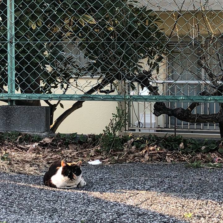 1de4da0e 5965 4658 8452 5ee318f8d73e 1522227824253