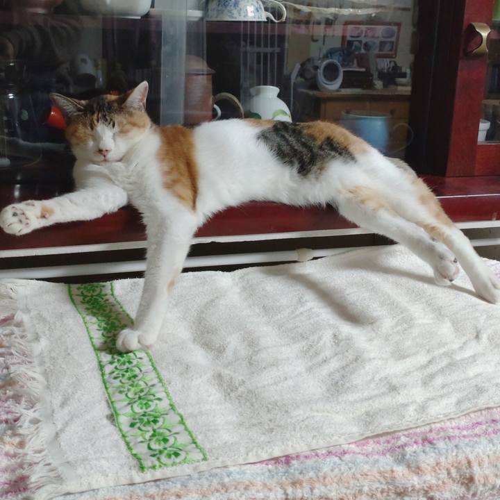 1de4eb80 eb5f 44a8 8100 0ac6547df141 1672654145435