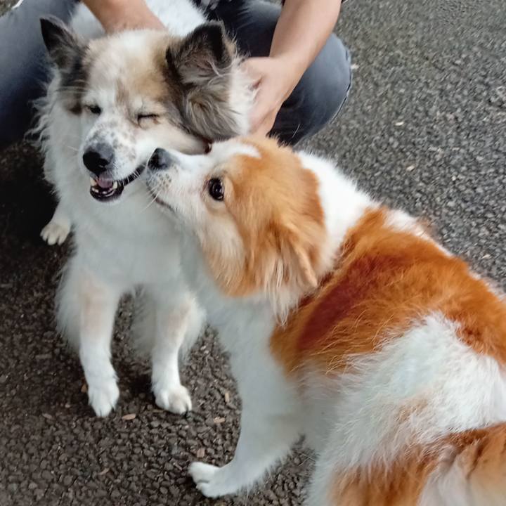 1de4ecbe a76a 465a ba52 63d5c7c6a060 1681727360977