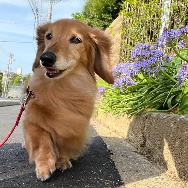 1de504ef 71e4 42a7 afad c58145aa7eff 1682688988671