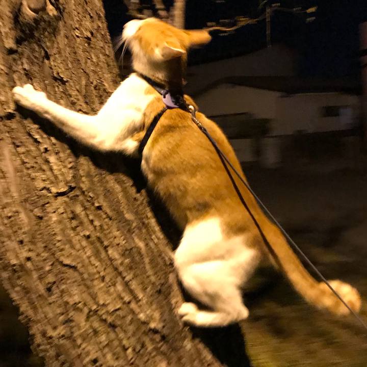 1de5ded4 fa1d 4cfe b0a8 9b91687e5467 1514111531264