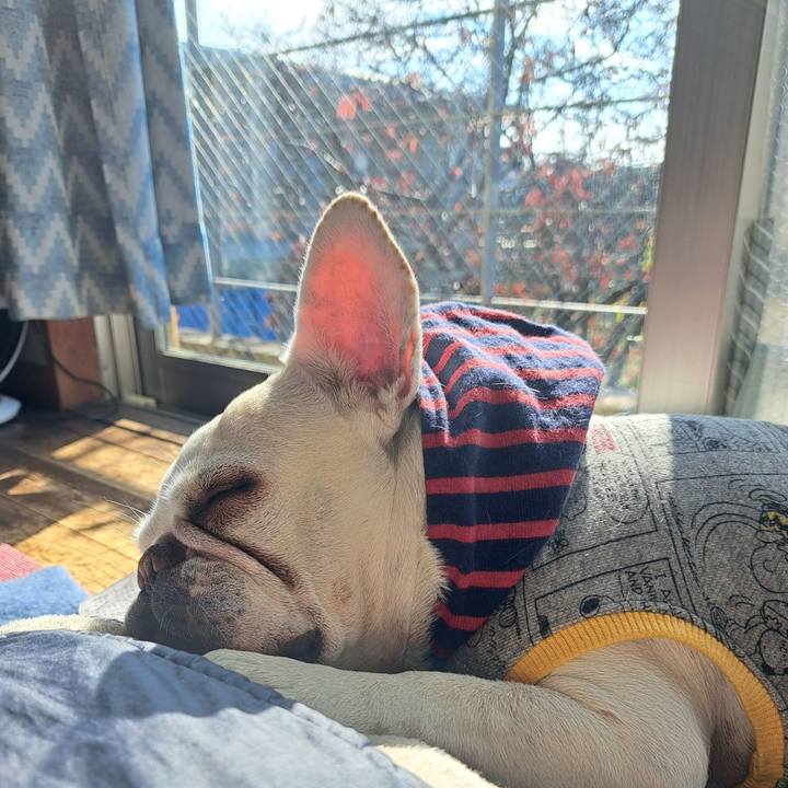 1de5e45b 17d8 4433 a987 545c7ed3c0f3 1703989918913