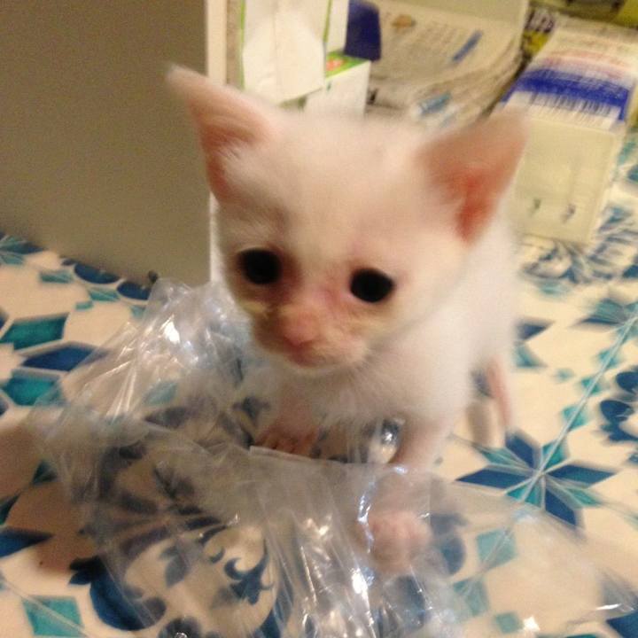 1de5f14d 8138 4cf3 9fee 1dc6beb3c029 1601395559471