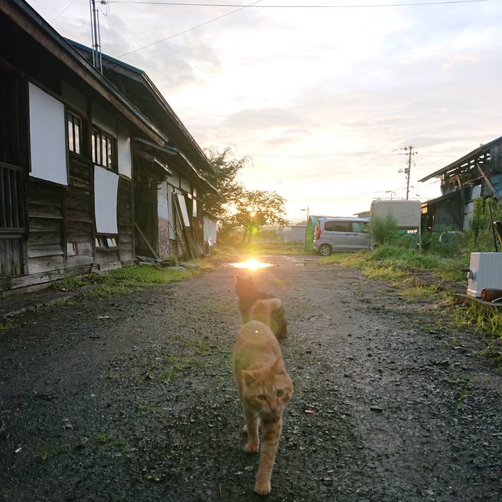 1de61ef8 81da 4a04 a3e3 7a2527adc55a 1661893969262