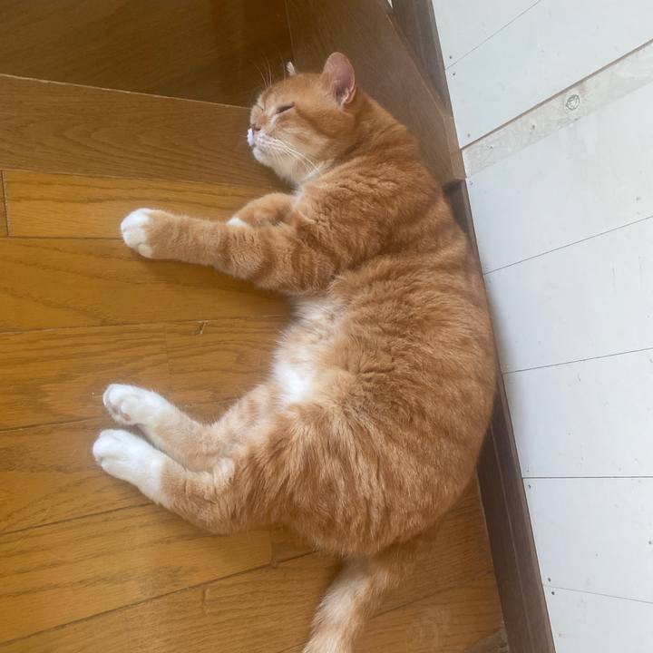 1de66138 a7bc 454e bc06 0370f7ada05e 1753588534510