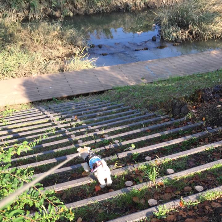 1de67d6c 498f 4949 bbb9 8aca8d708e9a 1540626396134