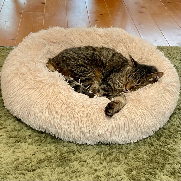 1de69856 5482 425c bf3b 41120391acc4 1686201977301