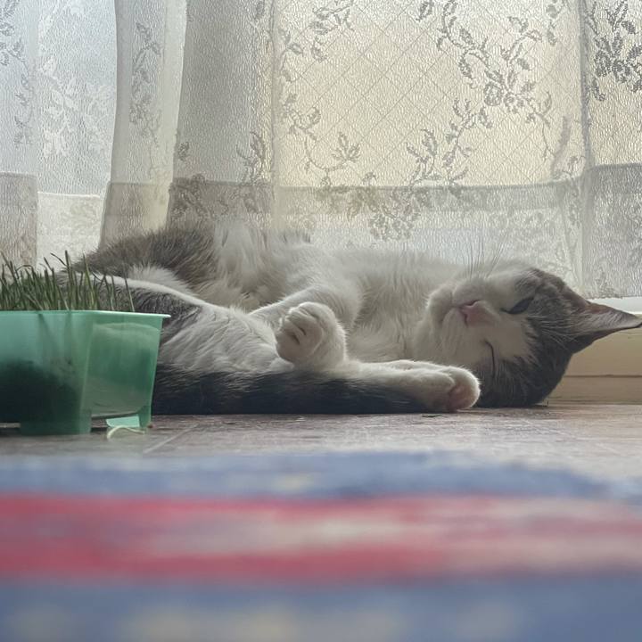 1de69da5 f221 4b68 996d 90ca5e760830 1628382853358