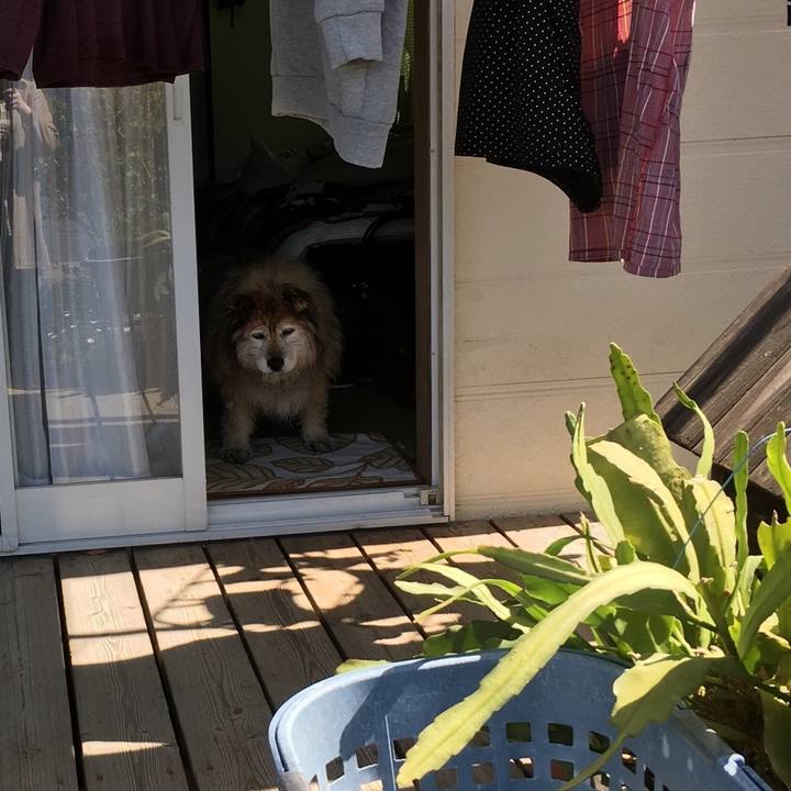 1de6c58f 70ac 42e9 b2a4 fa048e654496 1588096304703