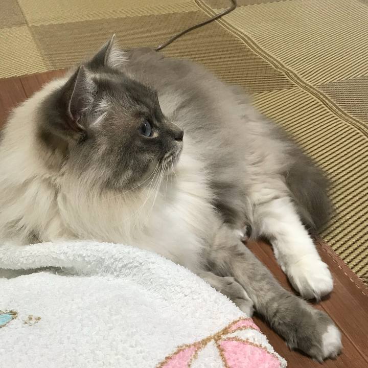 1de713f1 39e0 4c3e 87cc f7083994dea7 1519034626625