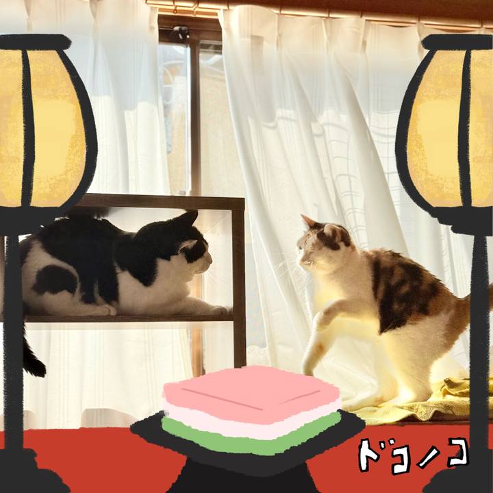 1de72655 d401 4bcb a636 ee2acfdd047c 1741141777049