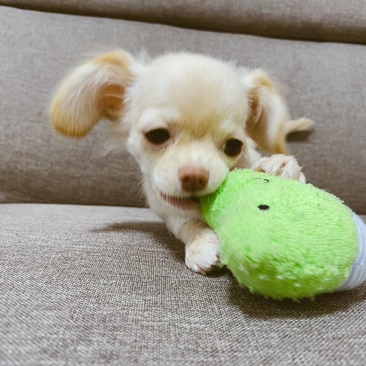 1de732c3 43cf 4468 ab00 8cce6ae681cb 1592271733715