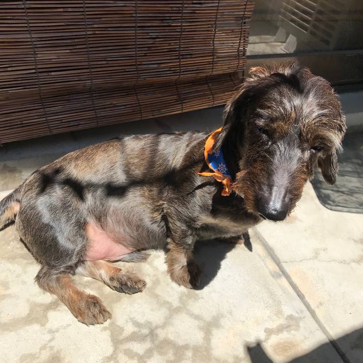 1de7419b 45f0 45d3 bd8e f13ee846002d 1534561763184